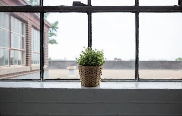 חופשה בחגים